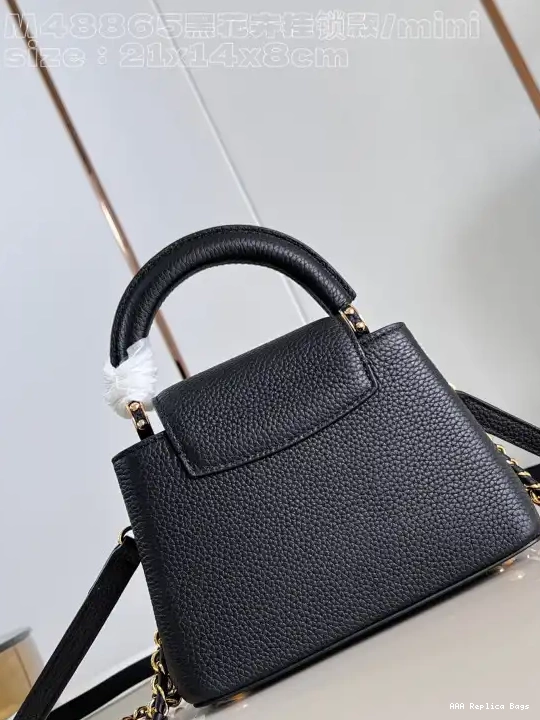 Aaa replica bags CAPUCINES VUITTON LOUIS MINI-21*14*8CM 0706